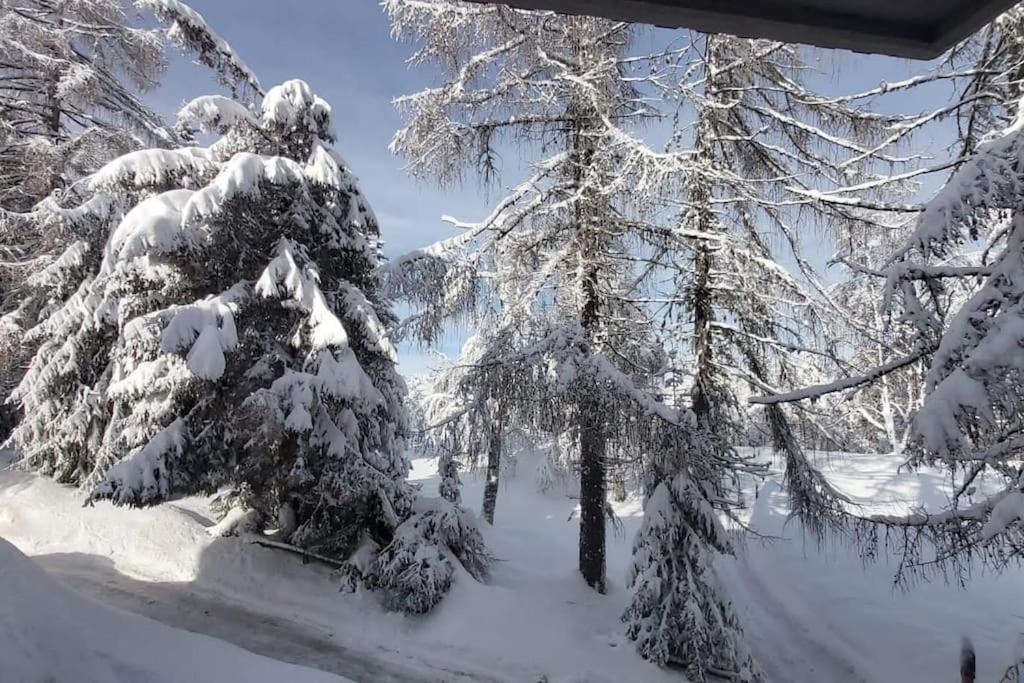 דירות Norge Trento, Monte Bondone, Casa Tipica Di Montagna מראה חיצוני תמונה
