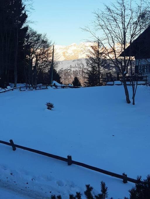דירות Norge Trento, Monte Bondone, Casa Tipica Di Montagna מראה חיצוני תמונה